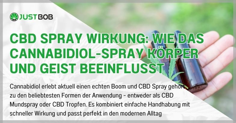 CBD Spray Wirkung: Wie das Cannabidiol-Spray Körper und Geist beeinflusst