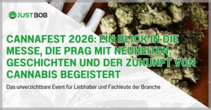 Cannafest 2026: Ein Blick in die Messe, die Prag mit Neuheiten