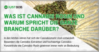 Was ist Cannabis Rosin und warum spricht die ganze Branche darüber?