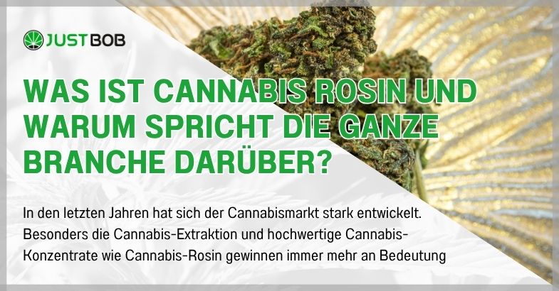 Was ist Cannabis Rosin und warum spricht die ganze Branche darüber?