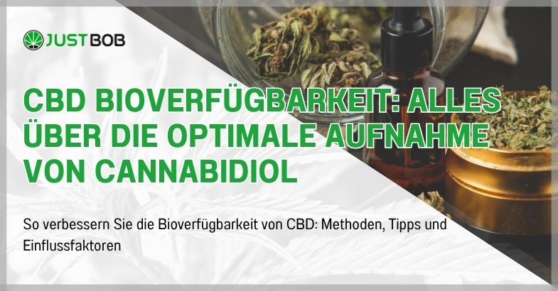 CBD Bioverfügbarkeit: Alles über die optimale Aufnahme von Cannabidiol