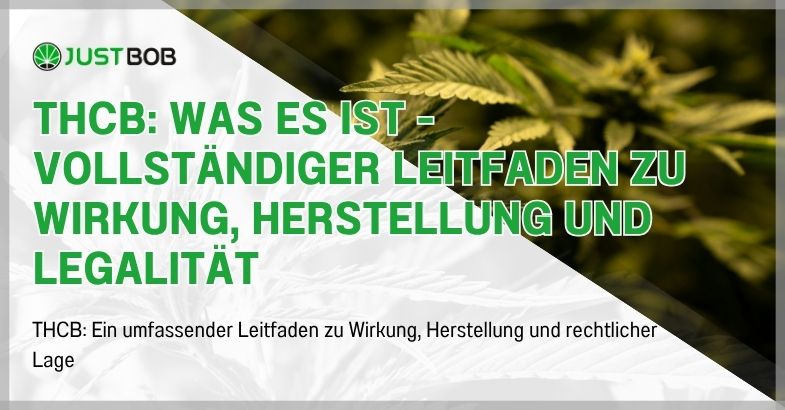 THCB: Was es ist - Vollständiger Leitfaden zu Wirkung, Herstellung und Legalität
