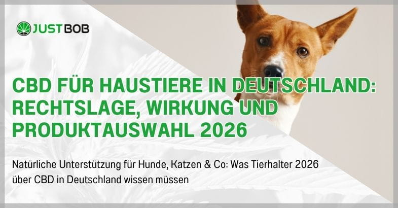 CBD für Haustiere in Deutschland: Rechtslage, Wirkung und Produktauswahl 2026