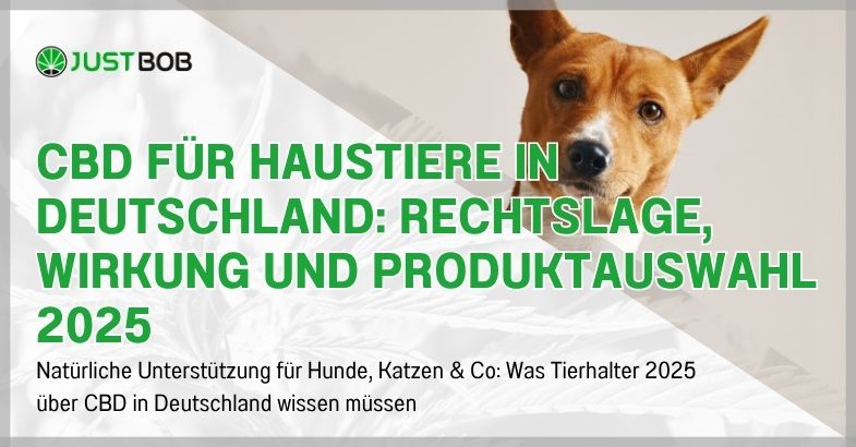 CBD für Haustiere in Deutschland: Rechtslage, Wirkung und Produktauswahl 2025