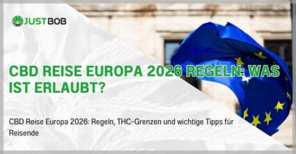 CBD Reise Europa 2026 Regeln: Was ist erlaubt?