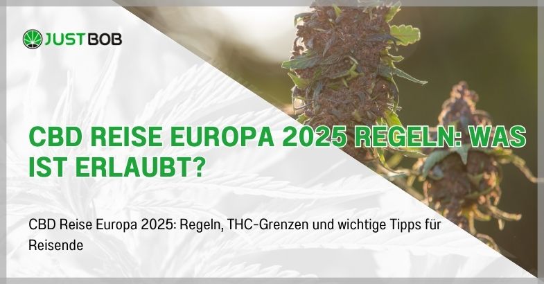 CBD Reise Europa 2025 Regeln: Was ist erlaubt?