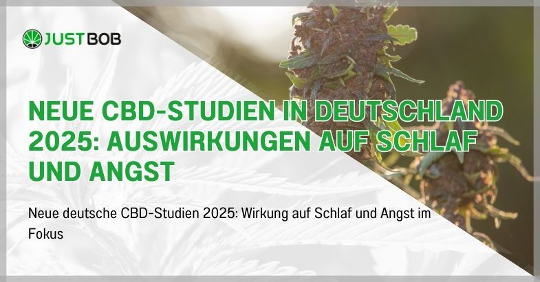 Neue CBD-Studien in Deutschland 2025: Auswirkungen auf Schlaf und Angst