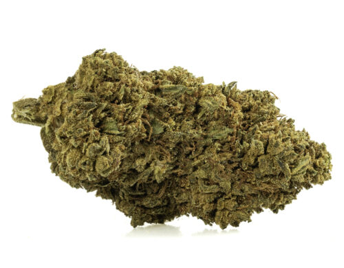 CBD bluten – Double Cookies