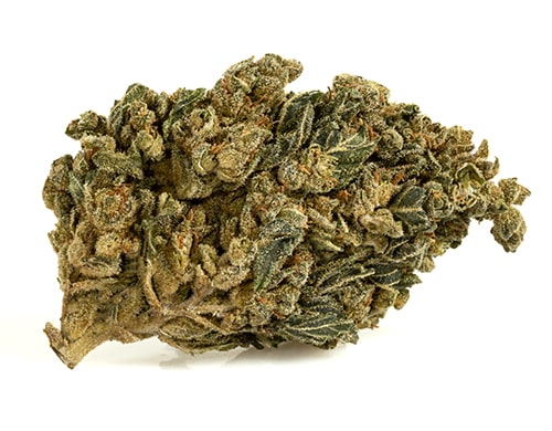 HQ-cbd-boost-cbd-blueten