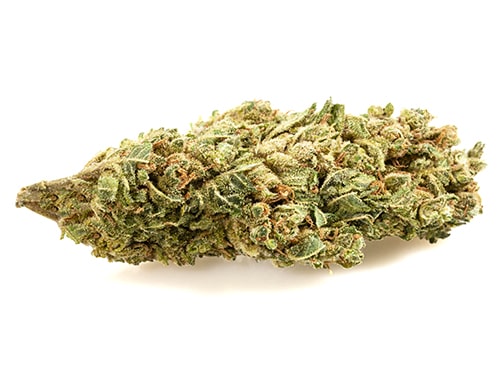 HQ-cbd-boost-cbd-blueten