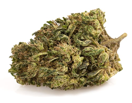 ak47-cbd-boost-small-cbd-blueten