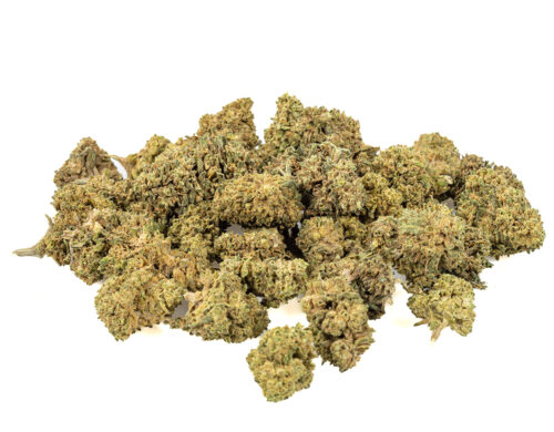 bubblegum small cbd gras