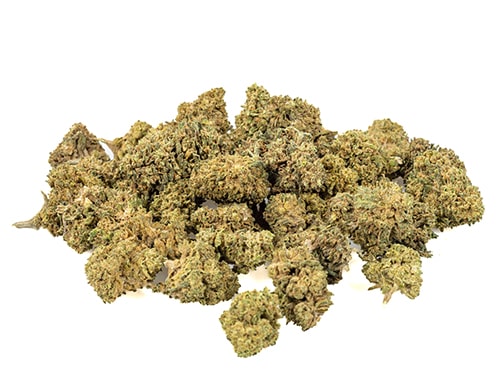 bubblegum small cbd blueten