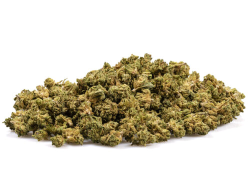 california haze small cbd gras