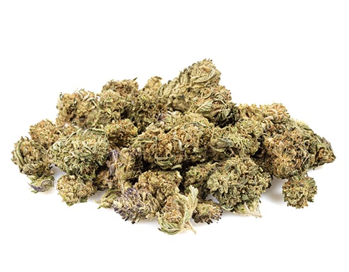 california haze small cbd blueten