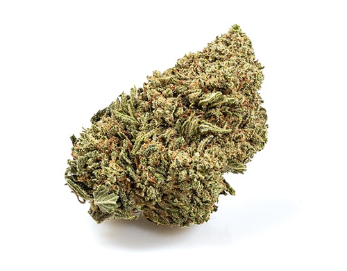 CBD Blütender Sorte Do Si Dos