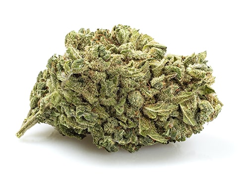 CBD Blüten der Sorte Gorilla Glue