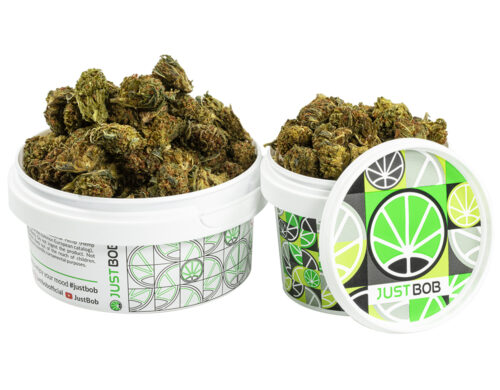 kann GG4 cbd boost cbd blueten klein