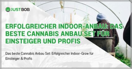 Erfolgreicher Indoor-Anbau: Das beste Cannabis Anbau Set für Einsteiger und Profis