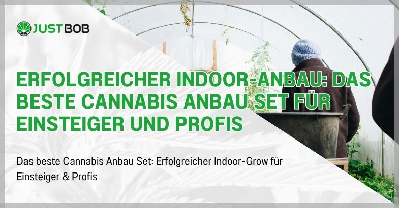 Erfolgreicher Indoor-Anbau: Das beste Cannabis Anbau Set für Einsteiger und Profis