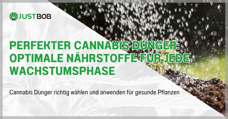 Perfekter Cannabis Dünger: Optimale Nährstoffe für Jede Wachstumsphase