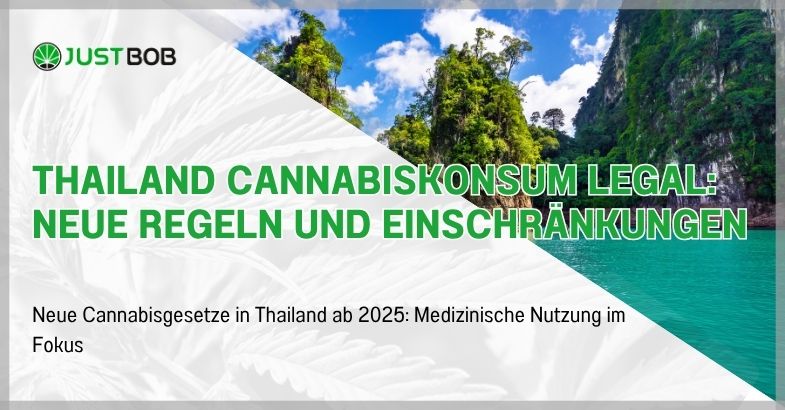 Thailand Cannabiskonsum Legal: Neue Regeln und Einschränkungen