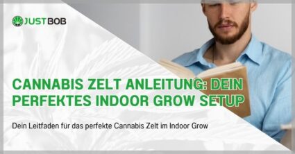 Cannabis Zelt Anleitung: Dein perfektes Indoor Grow Setup