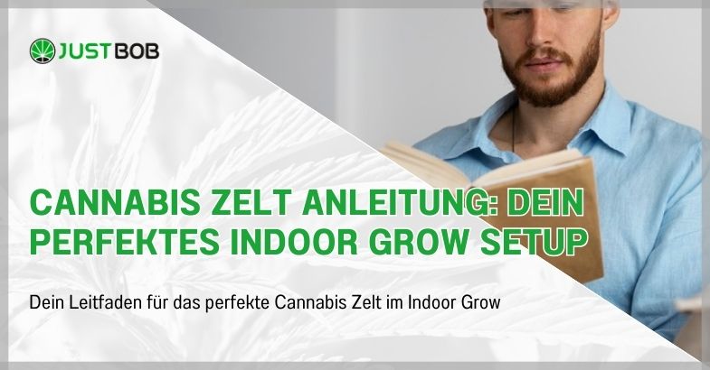 Cannabis Zelt Anleitung: Dein perfektes Indoor Grow Setup