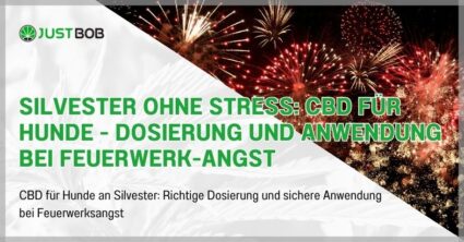 Silvester ohne Stress: CBD für Hunde