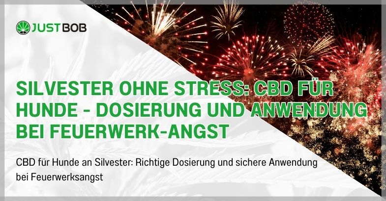 Silvester ohne Stress: CBD für Hunde
