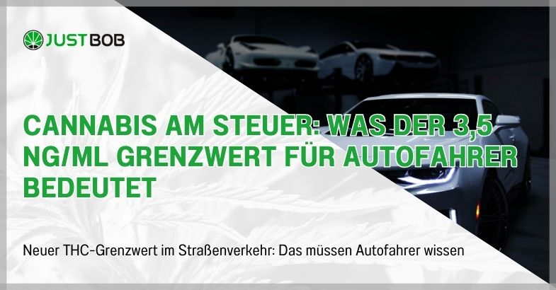 Cannabis am Steuer: Was der 3,5 ng/ml Grenzwert für Autofahrer bedeutet