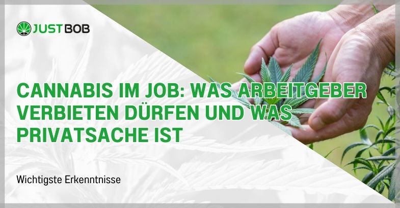 Cannabis im Job: Was Arbeitgeber verbieten dürfen und was Privatsache ist