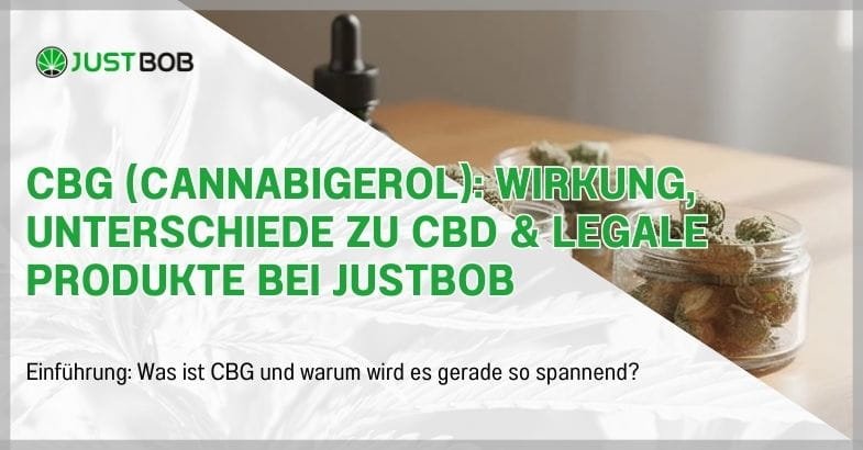 CBG (Cannabigerol): Wirkung, Unterschiede zu CBD