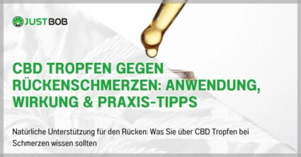 CBD Tropfen gegen Rückenschmerzen: Anwendung, Wirkung & Praxis-Tipps