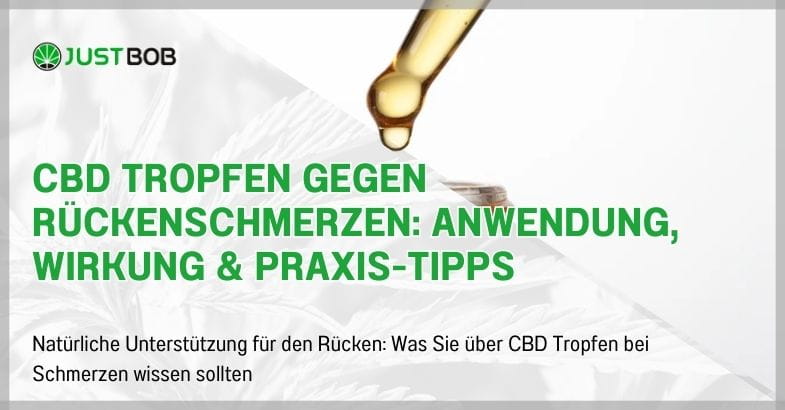 CBD Tropfen gegen Rückenschmerzen: Anwendung, Wirkung & Praxis-Tipps