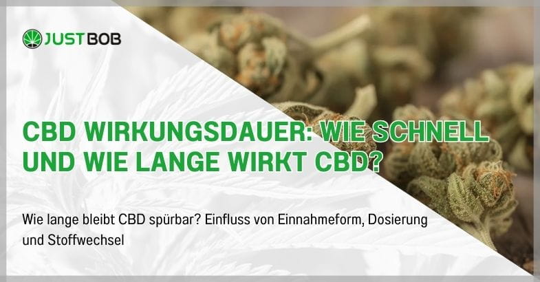 CBD Wirkungsdauer: Wie schnell und wie lange wirkt CBD?