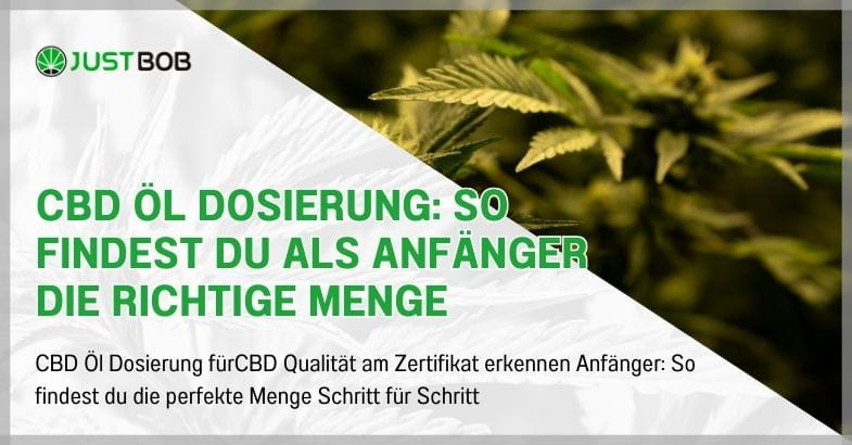 CBD Öl Dosierung: So findest du als Anfänger die richtige Menge