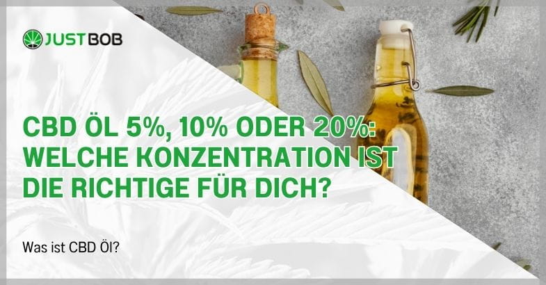 CBD Öl 5%, 10% oder 20%: Welche Konzentration ist die richtige für dich?