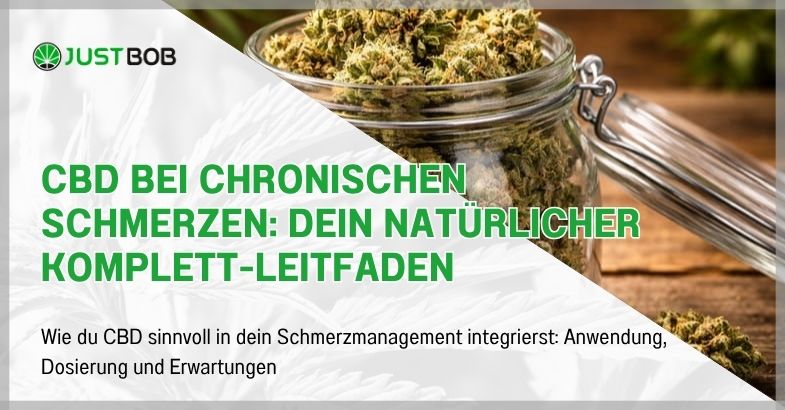 CBD bei chronischen Schmerzen: Dein natürlicher Komplett-Leitfaden