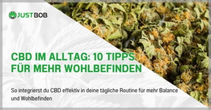 CBD im Alltag: 10 Tipps für mehr Wohlbefinden