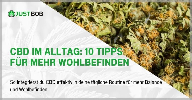 CBD im Alltag: 10 Tipps für mehr Wohlbefinden