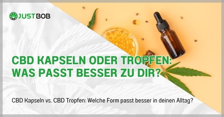 CBD Kapseln oder Tropfen: Was passt besser zu dir?