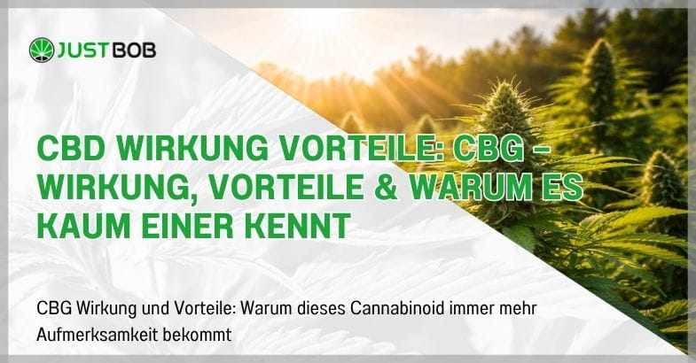CBD Wirkung Vorteile: CBG — Wirkung, Vorteile & warum es kaum einer kennt