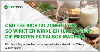 CBD Tee richtig zubereiten: So wirkt er wirklich (und warum die meisten es falsch machen)