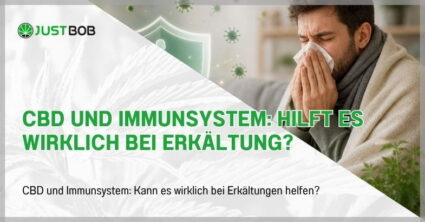 CBD und Immunsystem: Hilft es wirklich bei Erkältung?