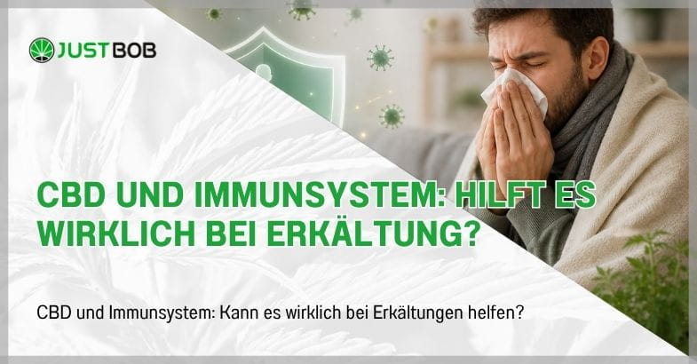 CBD und Immunsystem: Hilft es wirklich bei Erkältung?