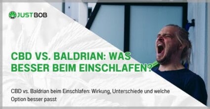 CBD vs. Baldrian: Was hilft besser beim Einschlafen?