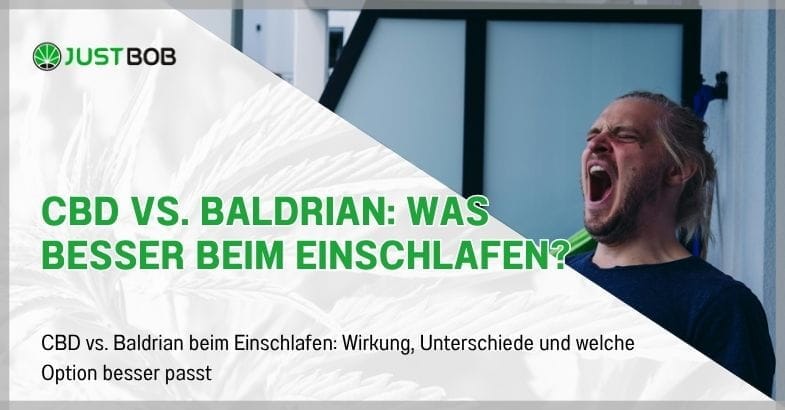 CBD vs. Baldrian: Was hilft besser beim Einschlafen?