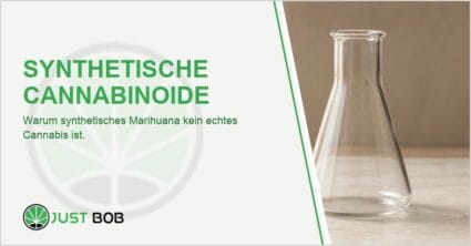 Getrocknete Hanfblüten links neben einem leeren Erlenmeyerkolben rechts auf hellem Stein als Kontrast zwischen Naturhanf und Laborware