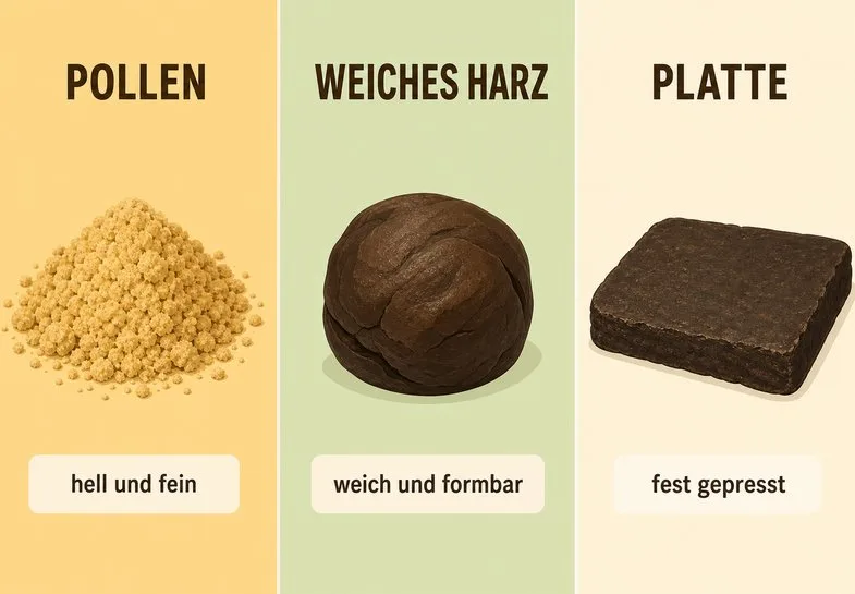 infografik-cbd-hasch-texturen-justbob Infografik mit drei Spalten zu Hasch-Texturen: heller feiner Pollen, weiches formbares Harz und fest gepresste Platte mit kurzen Beschriftungen